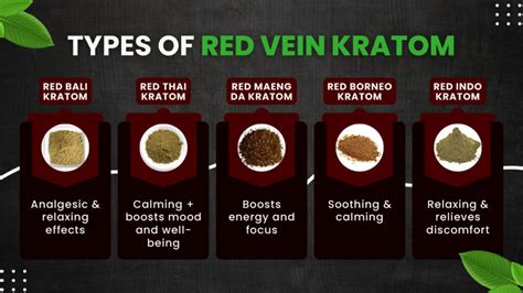 Red Kratom Vein