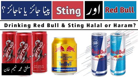 Red Bull Halal Indonesia