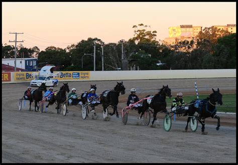 redcliffe harness racing replays