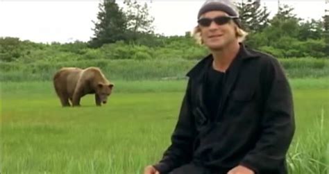 reddit timothy treadwell