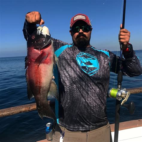 redondo beach sportfishing fish count