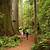redwood trailhead park