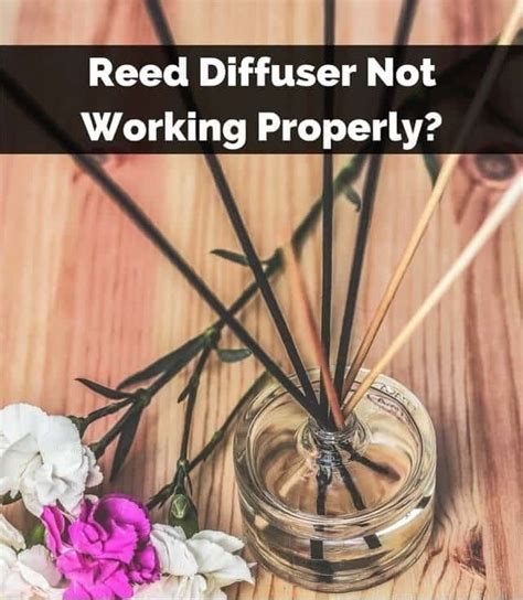 Reed Diffuser Not Working Properly