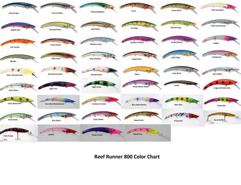Reef Runner 800 Dive Chart