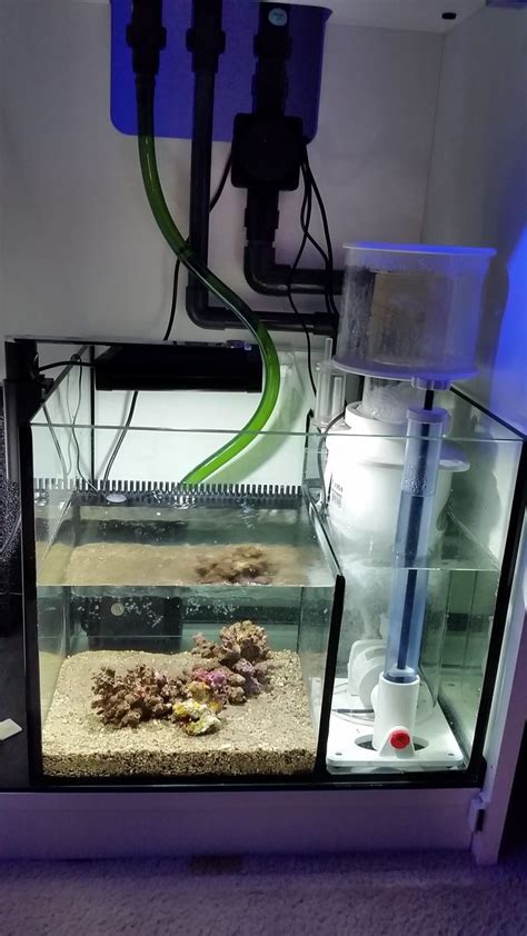 reefer 170 sump setup