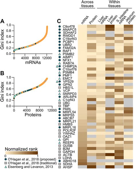 Reference Genes Transcriptomics