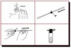 reference sample definition forensics