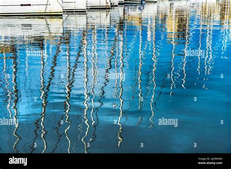 Reflections at the Marina: A Serene Escape from Everyday Chaos