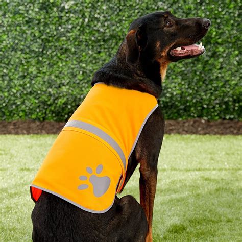 reflective dog vest petsmart