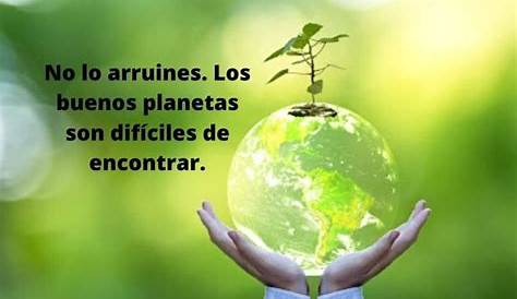 100 Frases para Cuidar el Medio Ambiente y la Naturaleza (Cortas)