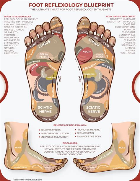 Reflexology Foot Chart Anus