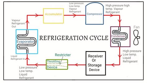 Refrigeration Cycle Quizlet