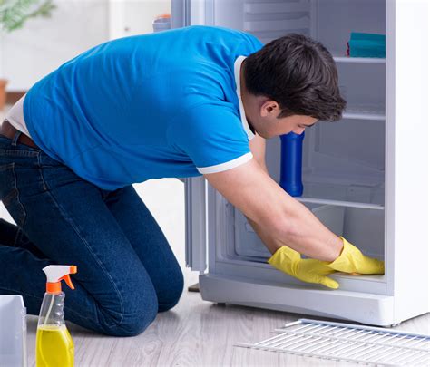 refrigerator cleaning service