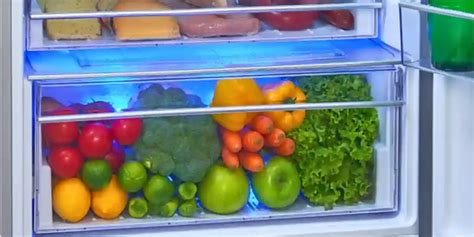 Refrigerator Vegetables Freezing