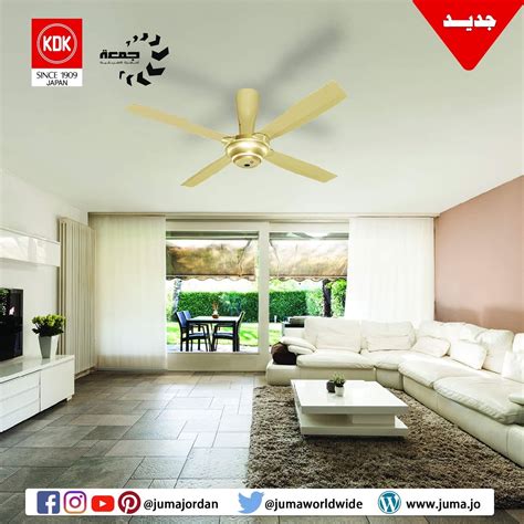 home.furnitureanddecorny.com:rega ceiling fan with light