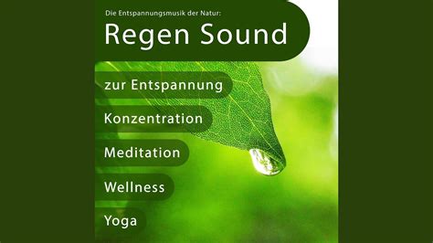 Regen Sound Rain Sound Photos, Download The Best Free Rain S