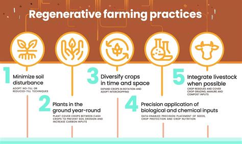 Regenerative Farming Practices Examples