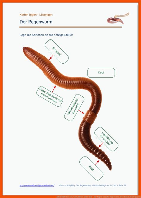 Arbeitsblatt mit Lückentext zum Thema "Regenwurm" Regenwurm, Arbeitsblätter, Arbeit