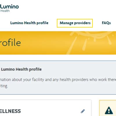 register as a provider with lumino health