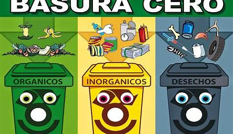 ¿Cómo se debe separar la basura? | Publimetro México