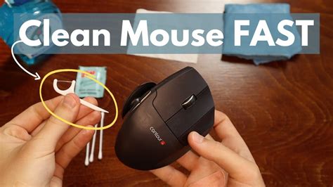 regular cleaning mouse