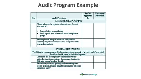 Regulation On Audit Program