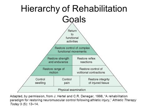 Rehab Types Explained
