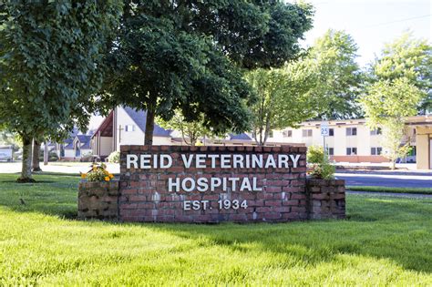 reid veterinary clinic albany oregon