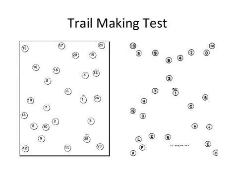 reitan trail test