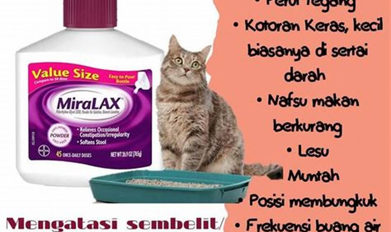 rekomedasi obat kucing susah buang air besar