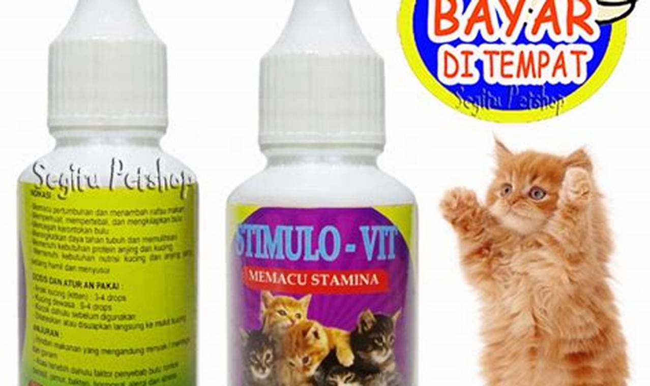 rekomedasi stimulo vitamin kucing