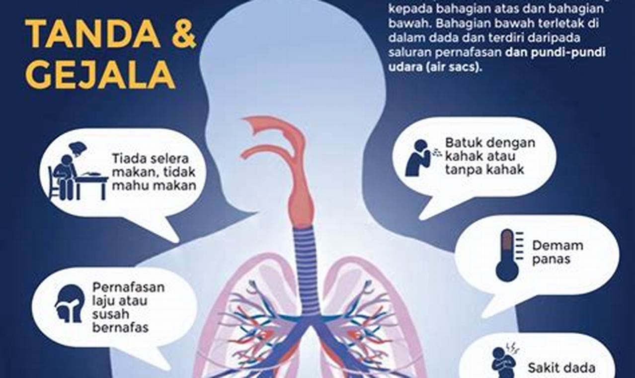 rekomendasi menghilangkan tar di paru paru