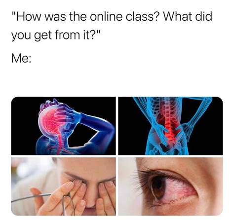 relatable school memes about online classes