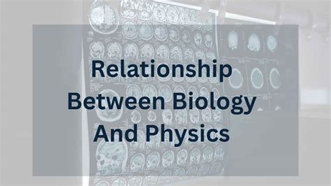 relationship between biology and physics