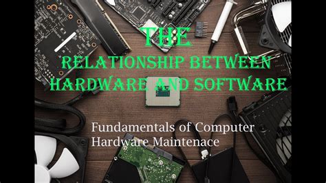 Relationship Computer Hardware And Software