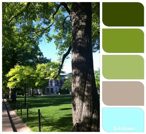 Relaxing Color Scheme