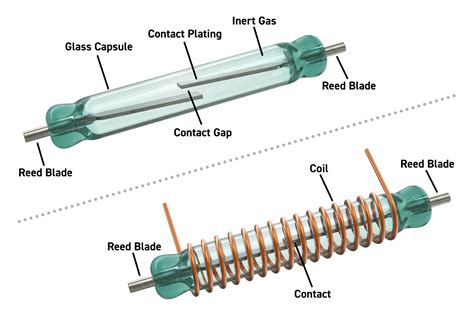 Relay Switch Coil Voltage