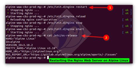 reload nginx command line