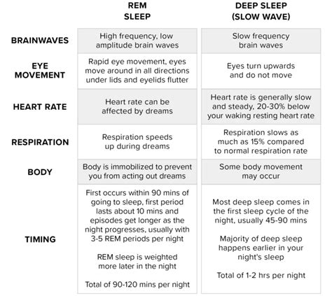 Rem Core Vs Deep Sleep