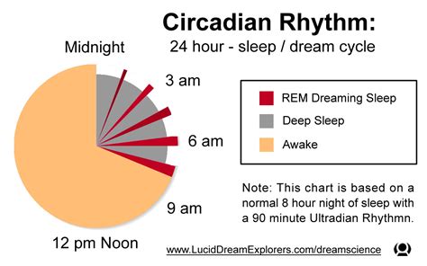 Rem Cycle Dreams