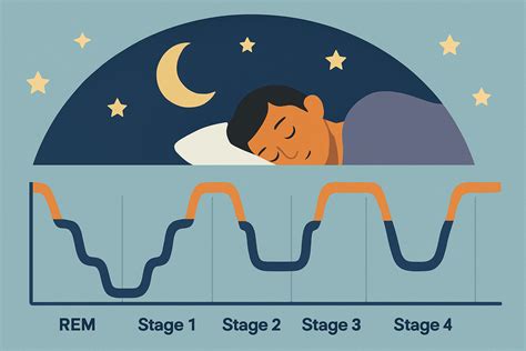 Rem Sleep Per Night