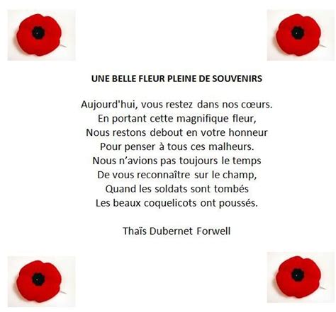 French Remembrance Day Flower remindringtonesyvngvh