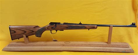 Remington 22 Long Rifle