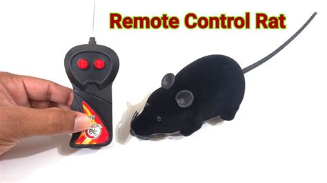 Remote Rat Youtube