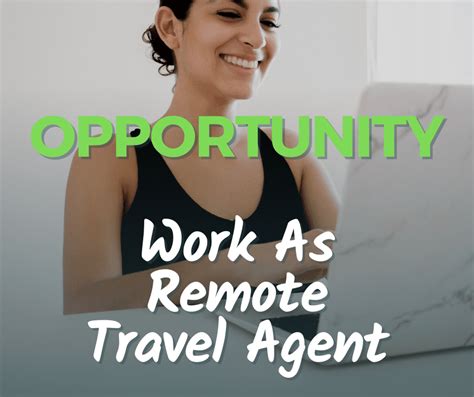 remote travel agent jobs michigan