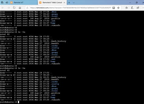 remoteiot web ssh raspberry pi