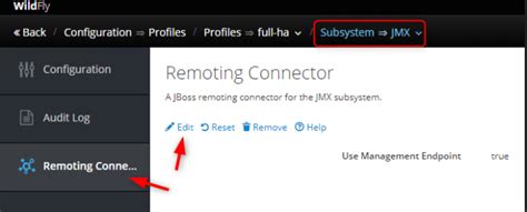 Remoting-Connector Use-Management-Endpoint