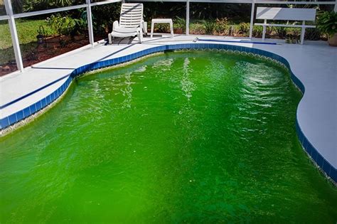 www.tassoglas.us:remove algae from pool