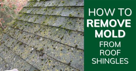 Remove Algae From Shingles