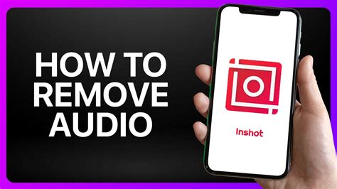 Remove Audio From Video Inshot